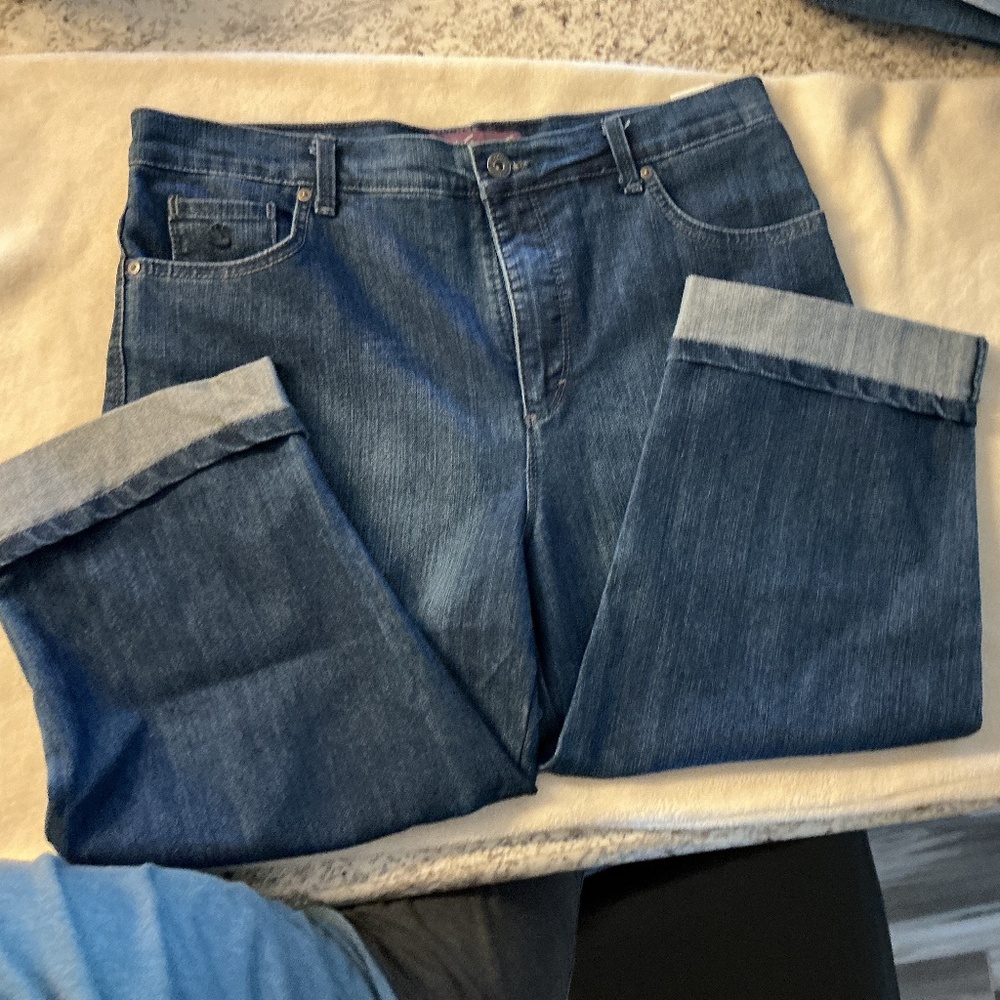 Gloria Vanderbuilt Amanda capri. Size 12 women’s